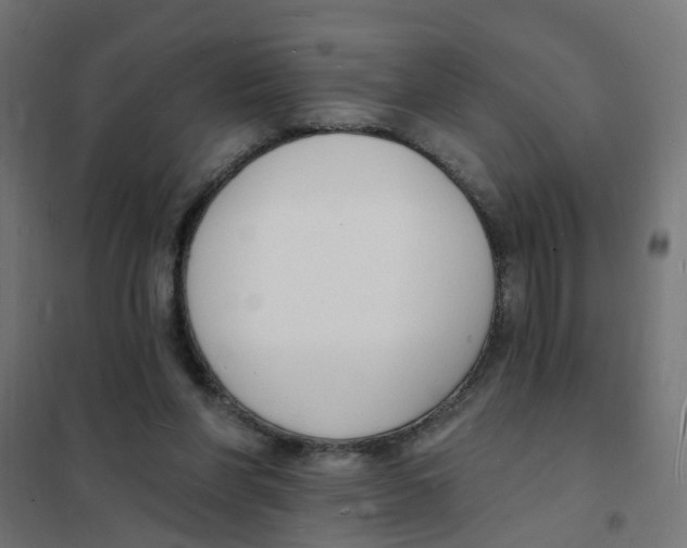 X0000101690206200808071142