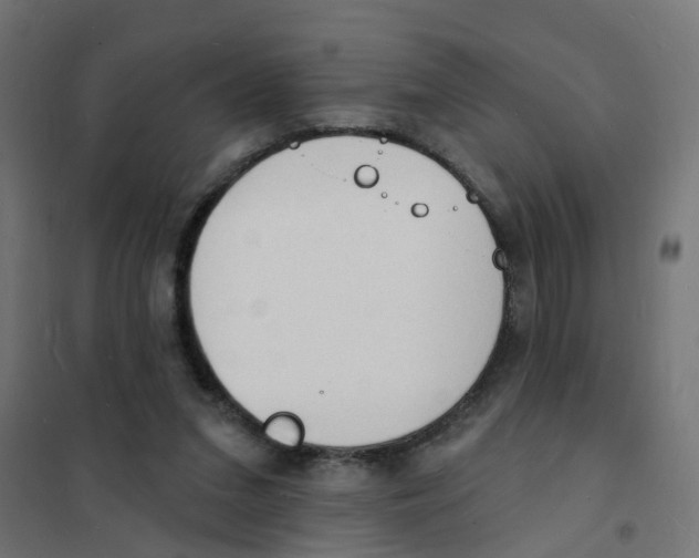 X0000101690207200808071142