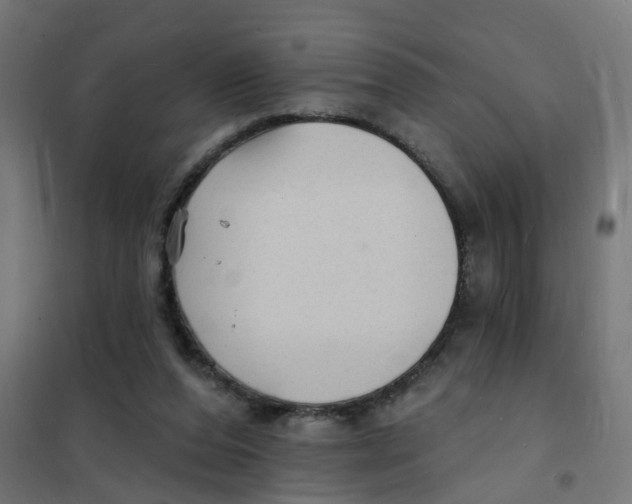 X0000101690208200808071142