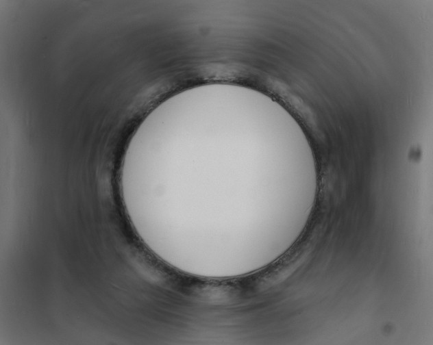 X0000101690209200808071142