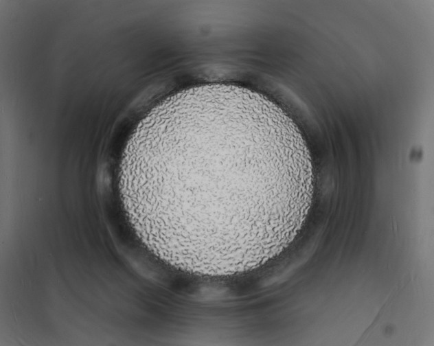 X0000101690214200808071142