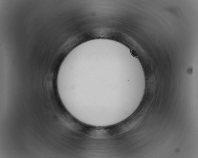 X0000101690217200808071142