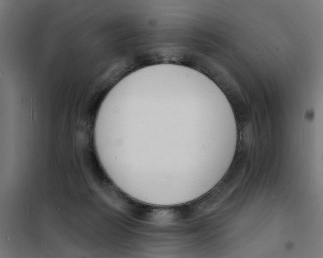 X0000101690218200808071142