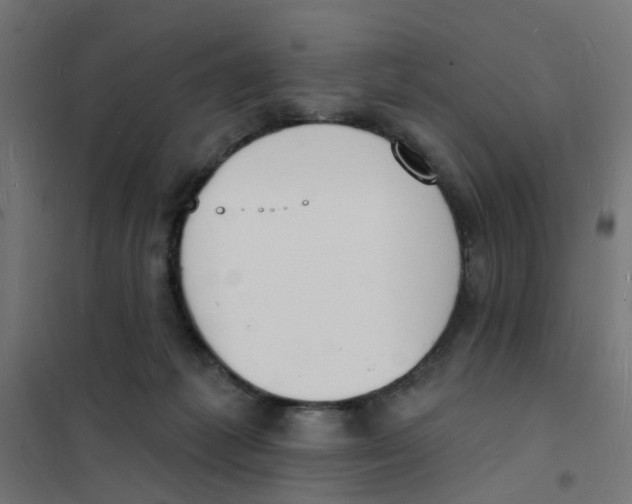 X0000101690221200808071142