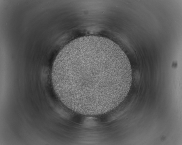 X0000101690222200808071142