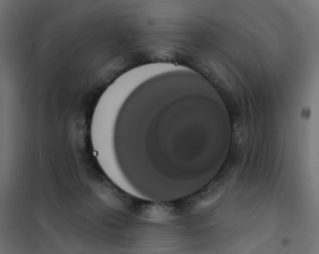 X0000101690223200808071142