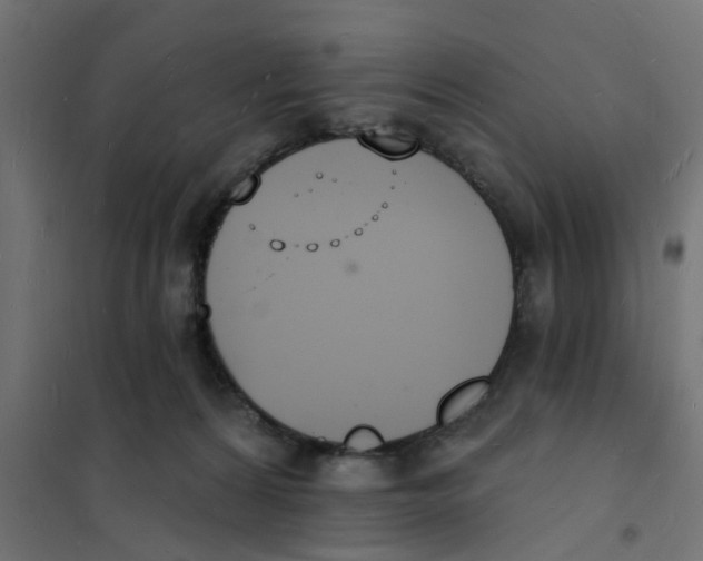 X0000101690224200808071142