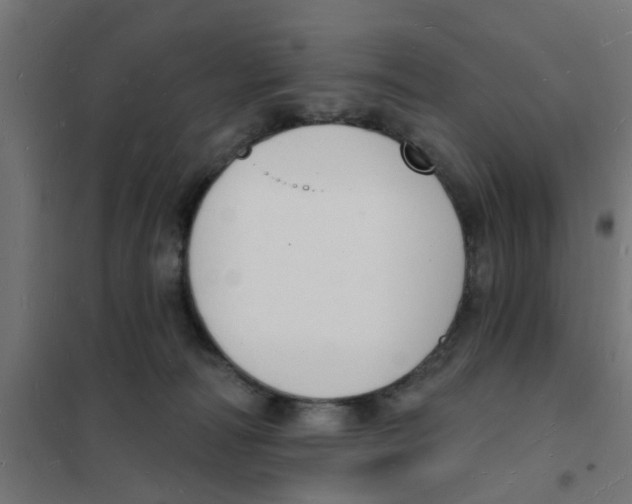 X0000101690226200808071142