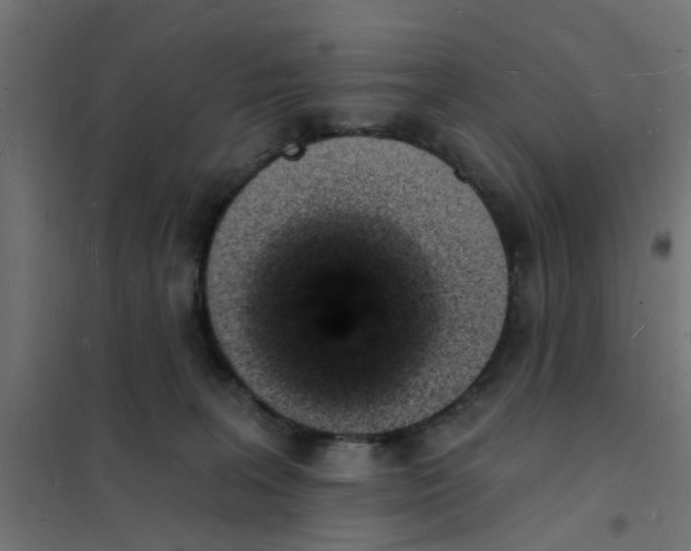 X0000101690227200808071142