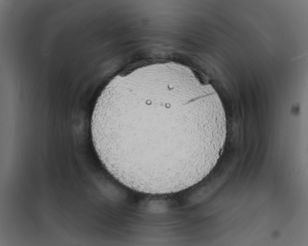 X0000101690228200808071142