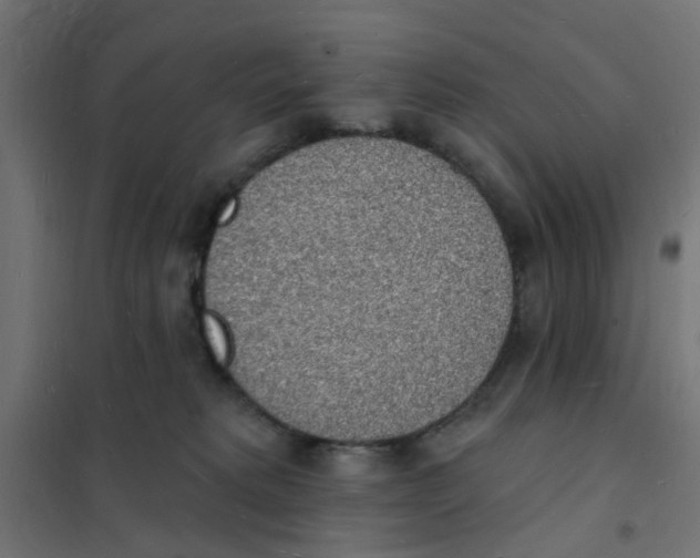 X0000101690229200808071142