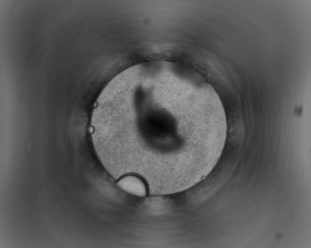 X0000101690231200808071142