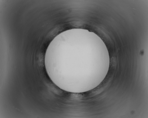 X0000101690234200808071142