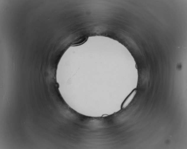 X0000101690236200808071142