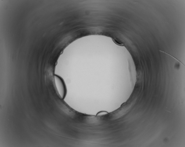 X0000101690238200808071142