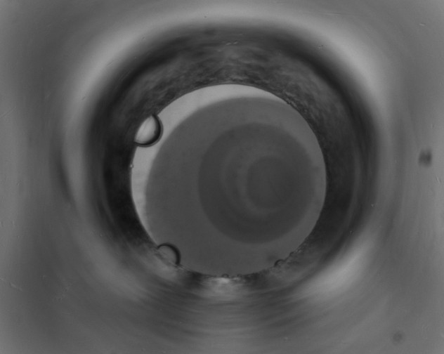 X0000101690239200808071142