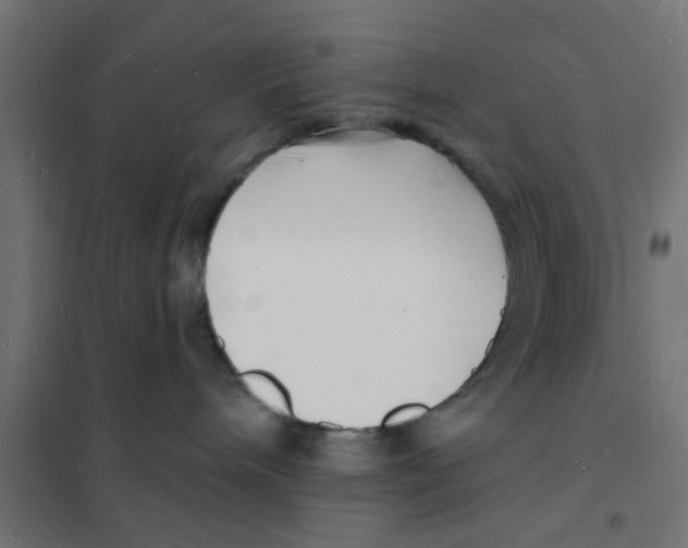 X0000101690240200808071142