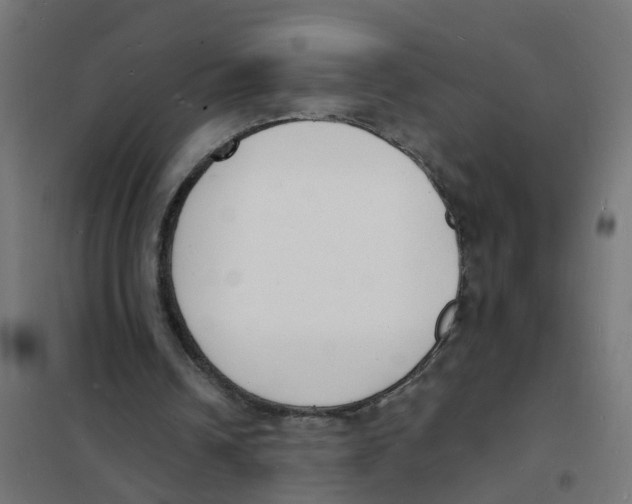 X0000101690242200808071141