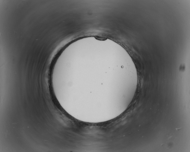 X0000101690244200808071141