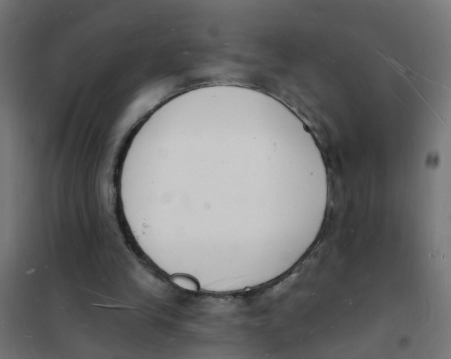 X0000101690245200808071141