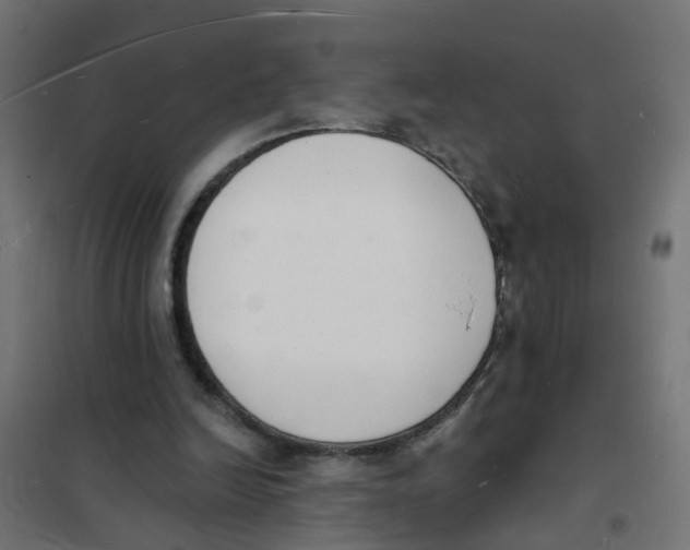 X0000101690246200808071141