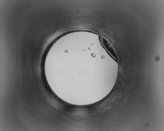 X0000101690248200808071141