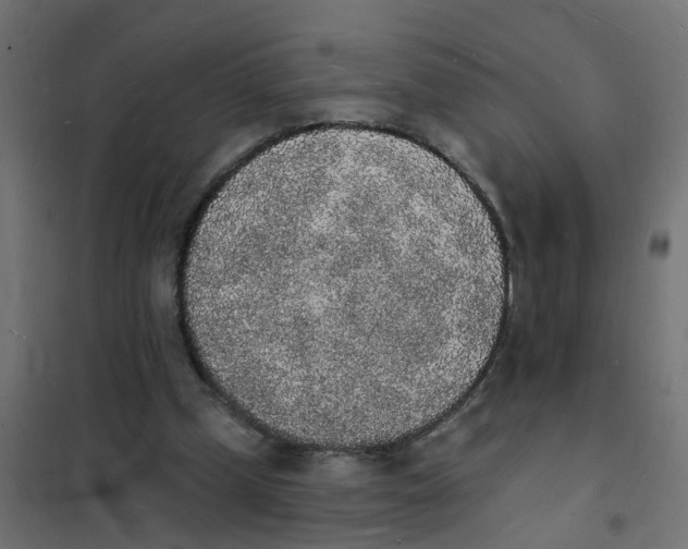 X0000101690249200808071141