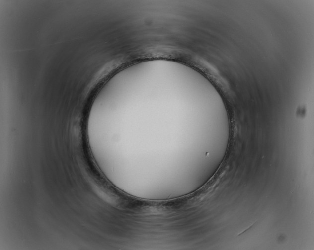 X0000101690250200808071141