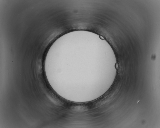 X0000101690251200808071141