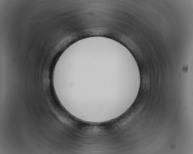 X0000101690254200808071141