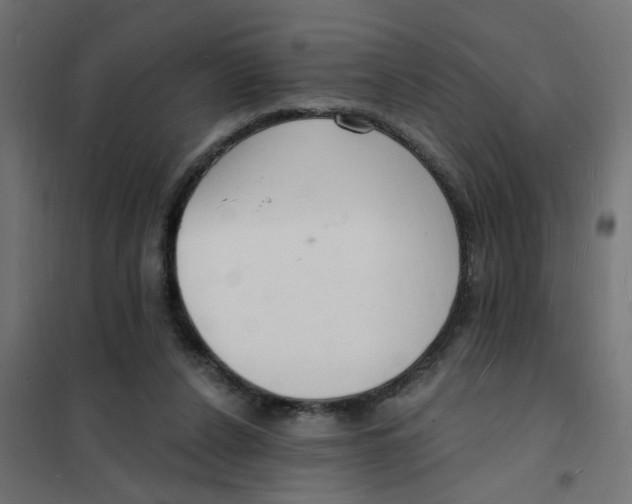 X0000101690256200808071141