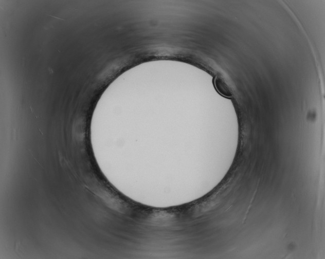 X0000101690257200808071141