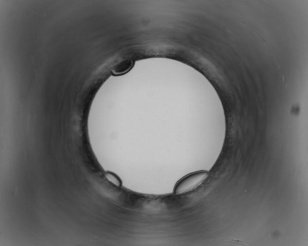 X0000101690258200808071142