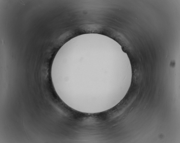 X0000101690259200808071142