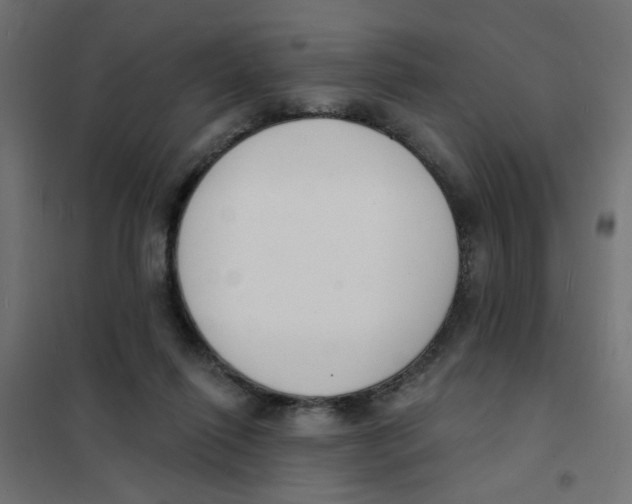 X0000101690262200808071142