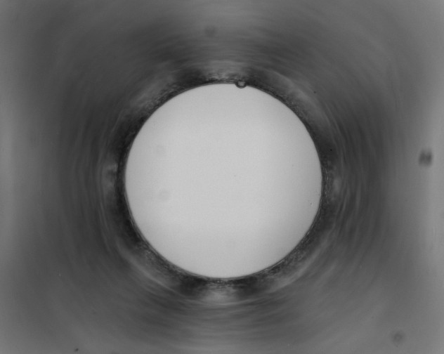 X0000101690263200808071142