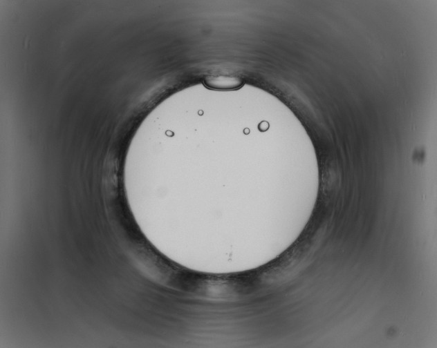 X0000101690264200808071142