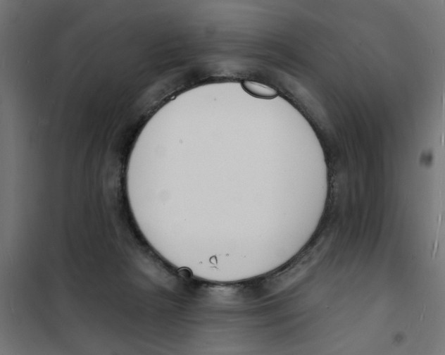 X0000101690265200808071142