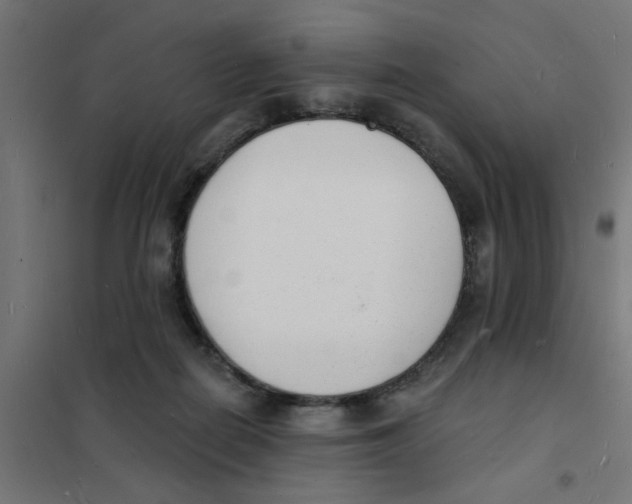 X0000101690266200808071142