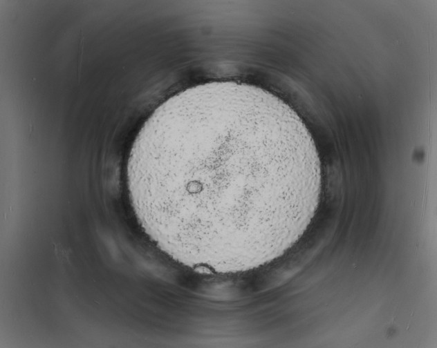 X0000101690267200808071142