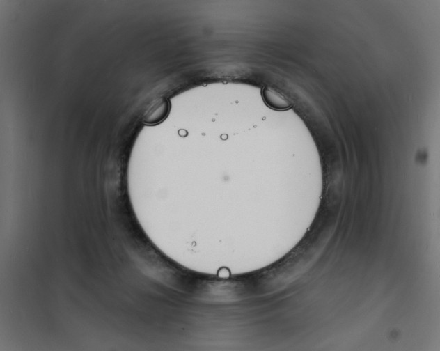 X0000101690268200808071142