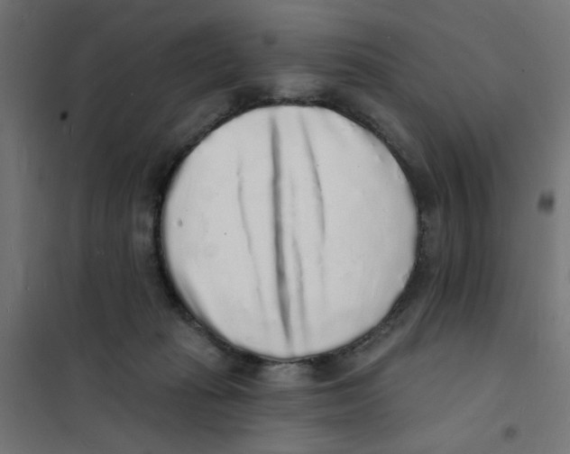 X0000101690269200808071142