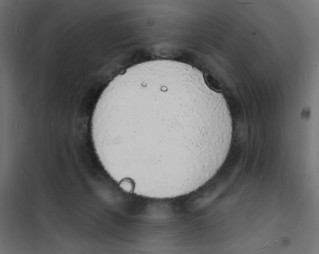 X0000101690271200808071142