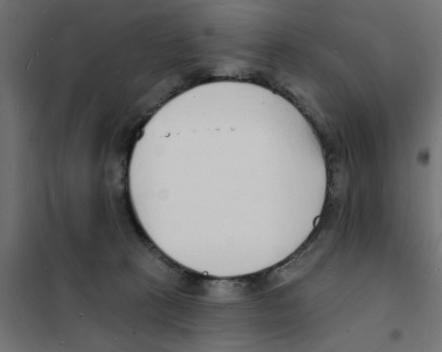 X0000101690273200808071142