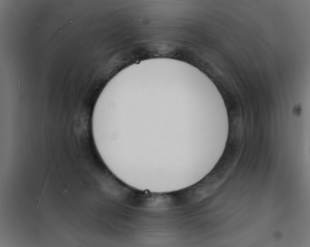 X0000101690274200808071142