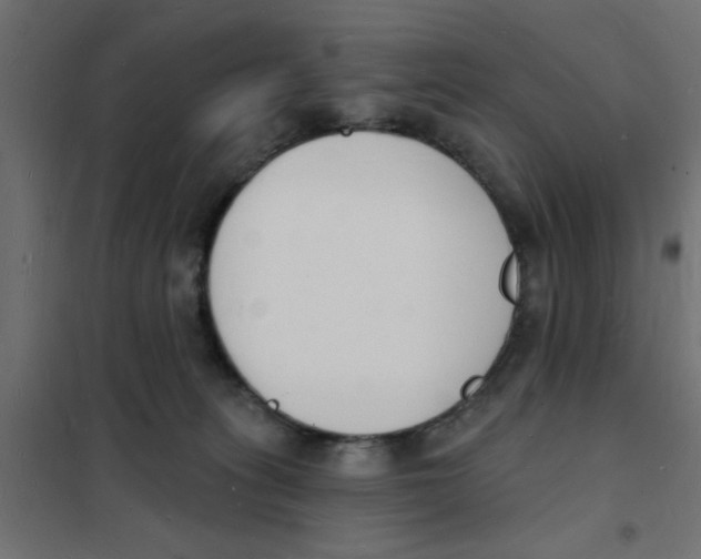 X0000101690275200808071142