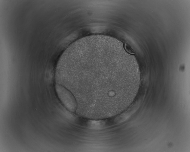 X0000101690277200808071142