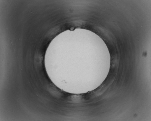 X0000101690279200808071142