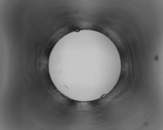 X0000101690281200808071142