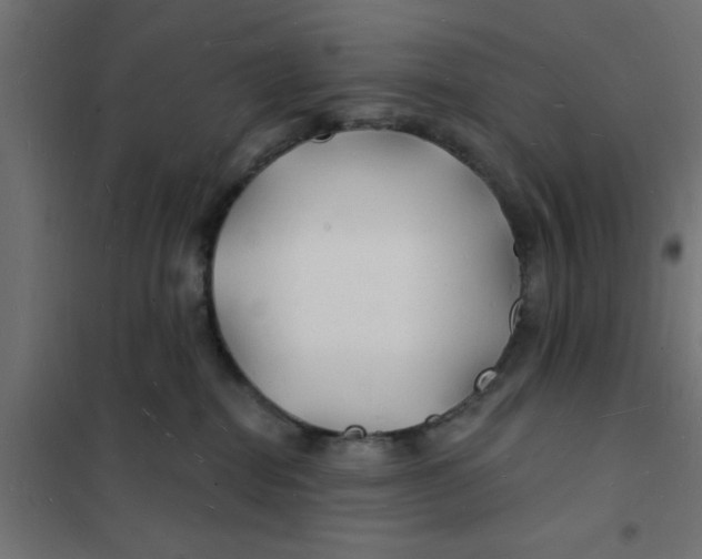 X0000101690282200808071142